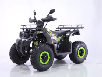 Квадроцикл TAO MOTORS REPTILE-200 (WARRIOR)