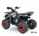 Квадроцикл  YACOTA SIRIUS 110			 			