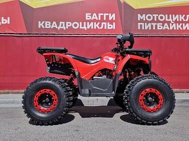 Квадроцикл PROMAX WILD 175 BASIC