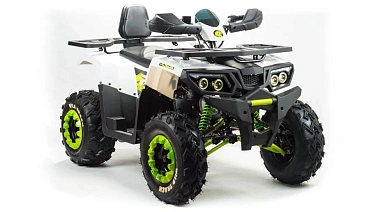 Квадроцикл PROMAX WILD 300 LUX (2024)