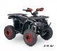 Квадроцикл  YACOTA SIRIUS 110			 			