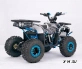 Квадроцикл  YACOTA SIRIUS 110			 			