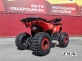 Квадроцикл PROMAX WILD 175 BASIC